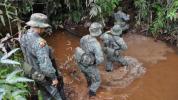 La operación se llevó a cabo cerca a la frontera ecuatoriana en los alrededores de la isla Malpelo, en Colombia.